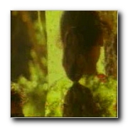 tamil movie Dalapathi